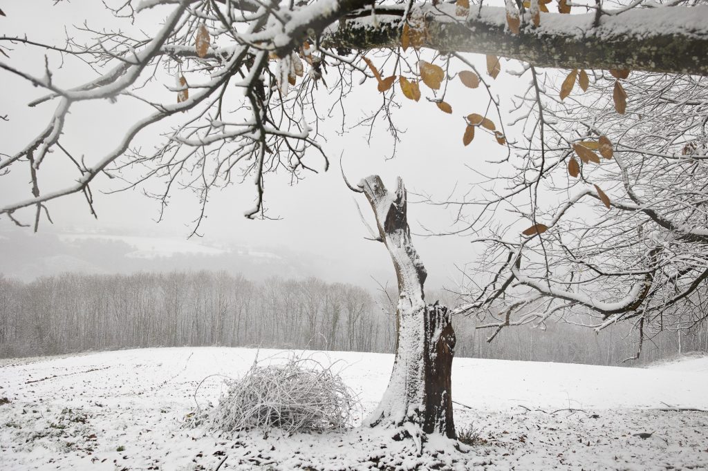 Photographe Paysage Aveyron