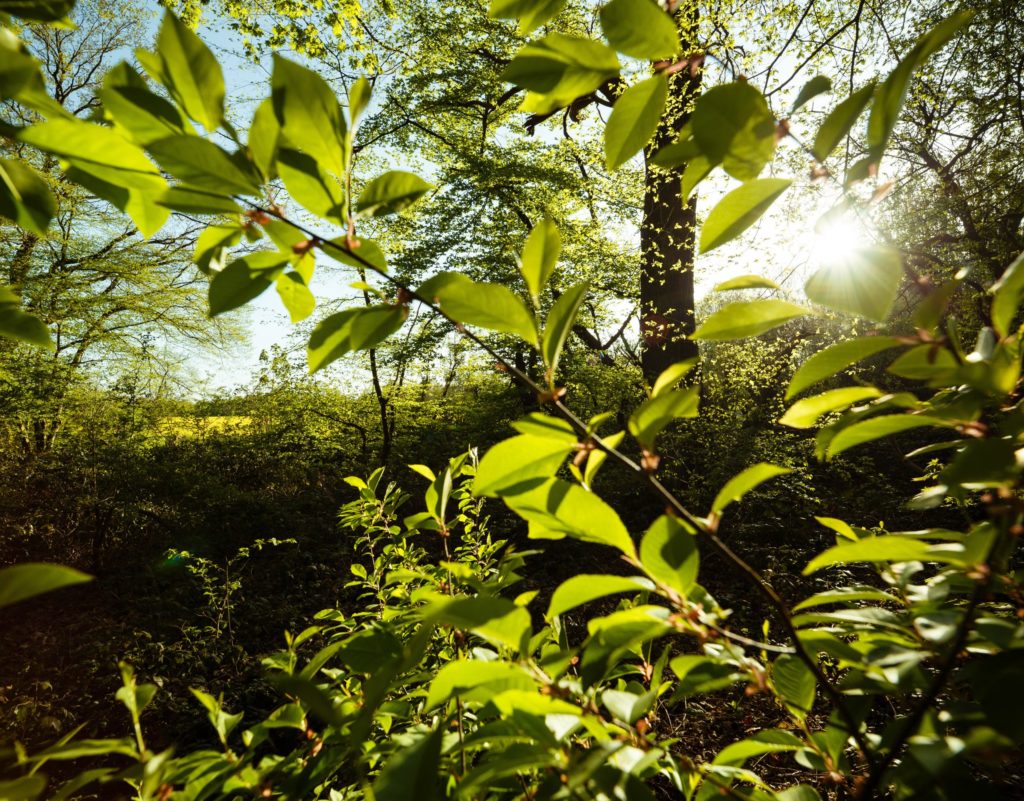 Photographe de Paysage Aveyron