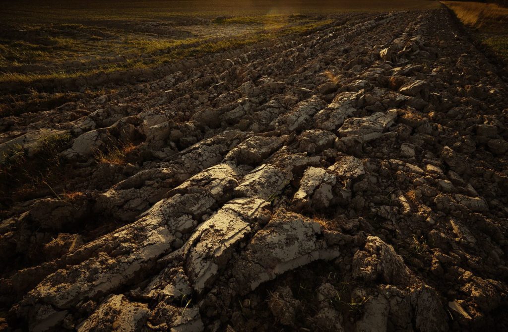 Nature Mystique Photographie 148 1536x1003 1 Photographe corporate pour les entreprises