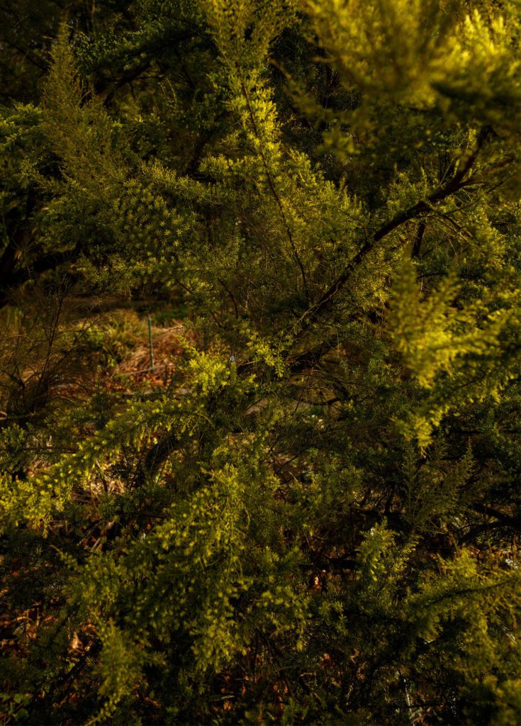 Photographe corporate pour les entreprises 8 Photographe Corporate - expert en image Nature Mystique Photographie 327 Photographe corporate pour les entreprises