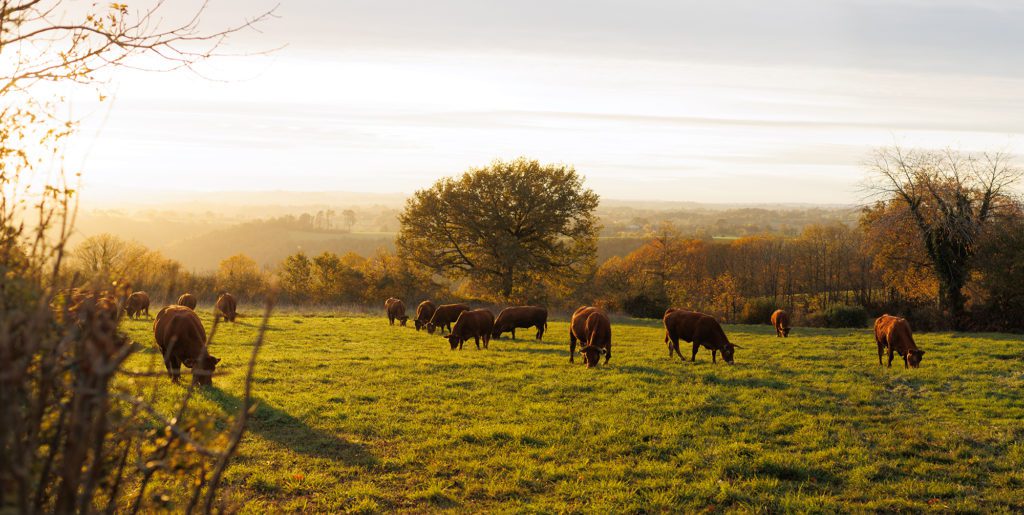 Photographe corporate pour les entreprises 9 Photographe Corporate - expert en image AVEYRON SEPT 985 Photographe corporate pour les entreprises