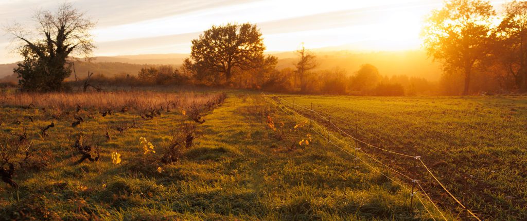 Photographe corporate pour les entreprises 8 Photographe Corporate - expert en image photographe professionnel, Aveyron, Rodez, Millau, Onet-le-Château, Villefranche-de-Rouergue, Saint-Affrique, Luc-la-Primaube, Decazeville, Capdenac-Gare, Espalion, Séverac-d'Aveyron