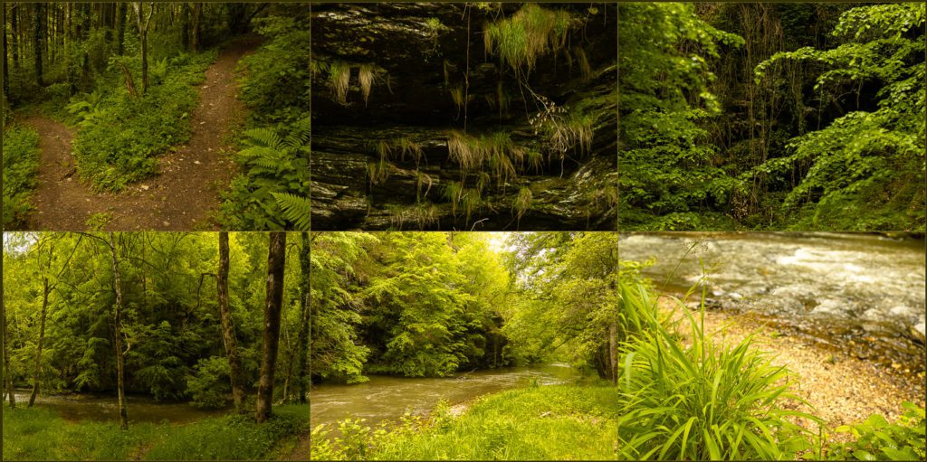 Photographe corporate pour les entreprises 9 Photographe Corporate - expert en image Versailles 12160 Camboulazet