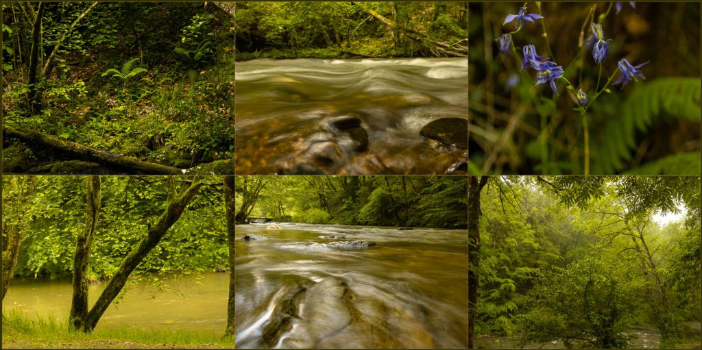 Photographe corporate pour les entreprises 8 Photographe Corporate - expert en image Photo de Famille Versailles 12160 Camboulazet