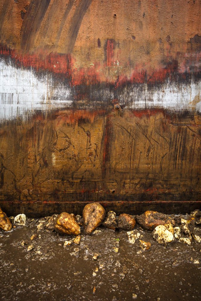 Photographe corporate pour les entreprises 9 Photographe Corporate - expert en image Photographe Portrait corporate 103 Photographe corporate pour les entreprises