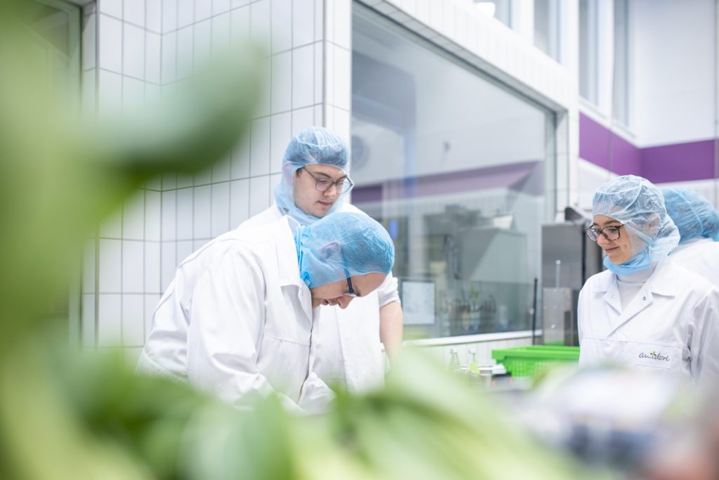 Photographe corporate pour les entreprises 9 Photographe Corporate - expert en image photographe entreprise toulouse