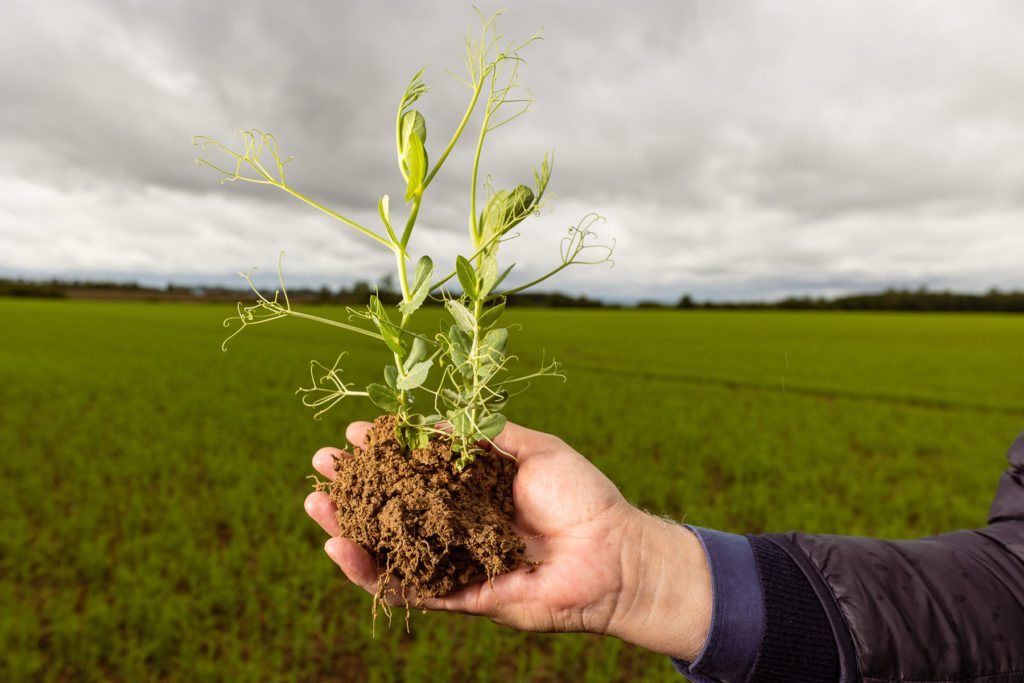 Photographe corporate pour les entreprises 11 Photographe Corporate - expert en image Photographe Portrait corporate 362 Photographe corporate pour les entreprises