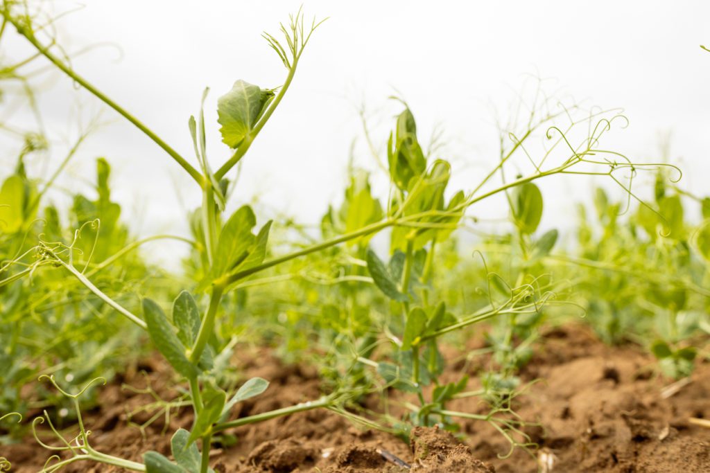 Photographe corporate pour les entreprises 10 Photographe Corporate - expert en image Photographe Portrait corporate 364 Photographe corporate pour les entreprises